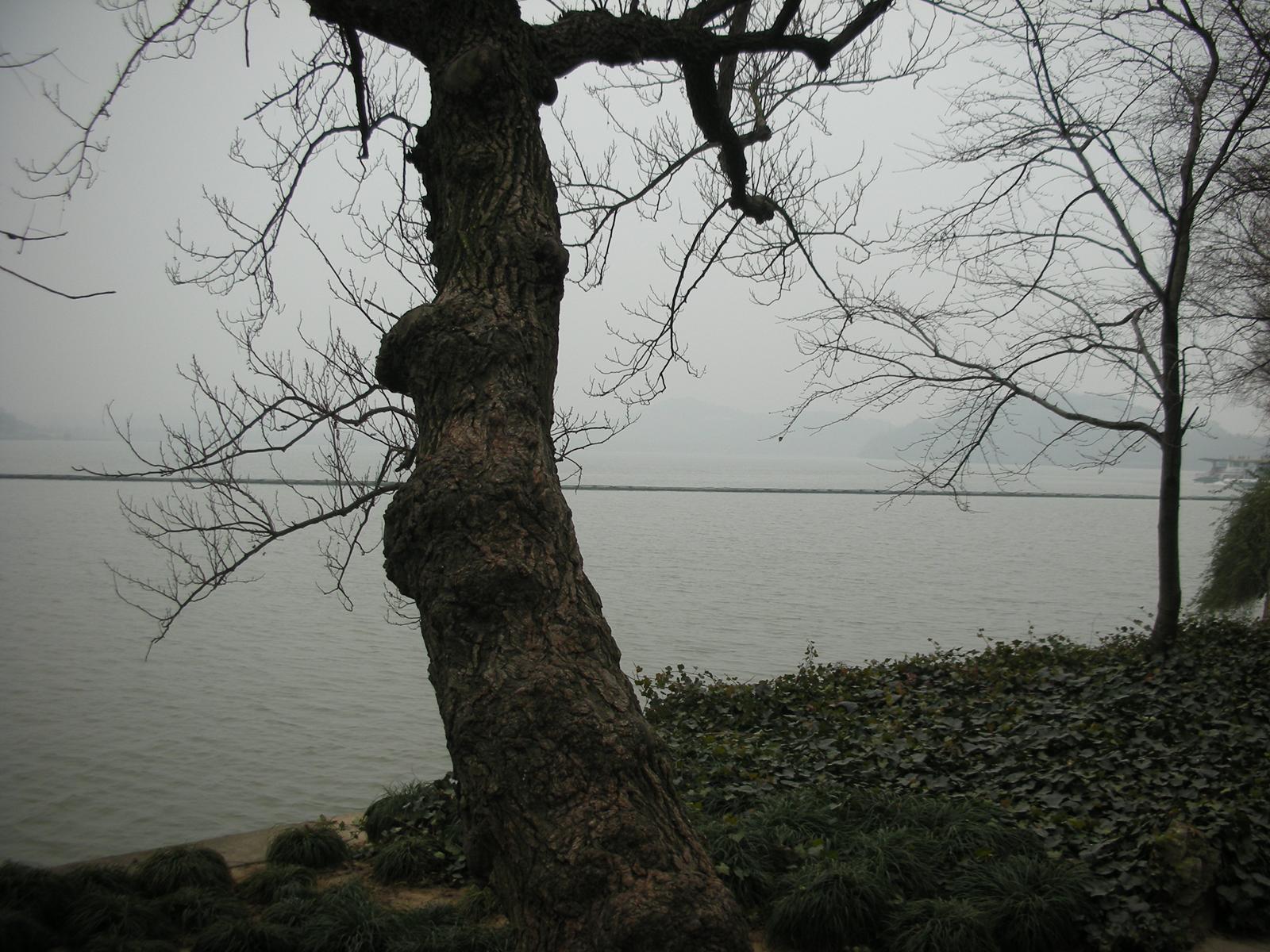 2000年ほど前は錫(スズ)の産地だったが、今は錫がない無錫(その2..無錫を代表する観光地である太湖)